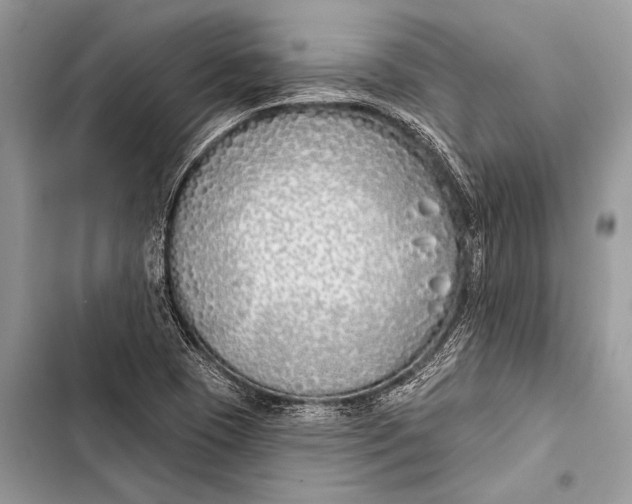 X0000103491409200810031555