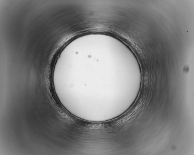 X0000103491410200810031555