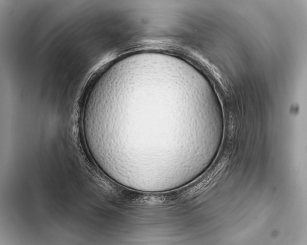 X0000103491411200810031555