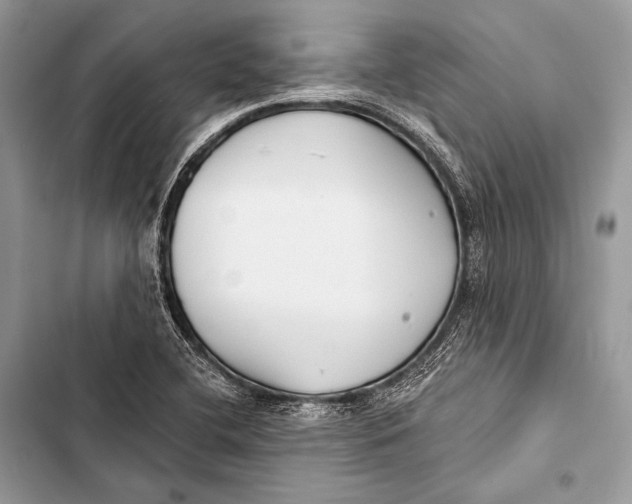 X0000103491412200810031555