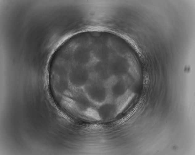 X0000103491414200810031555