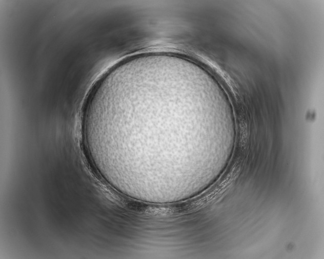 X0000103491415200810031555