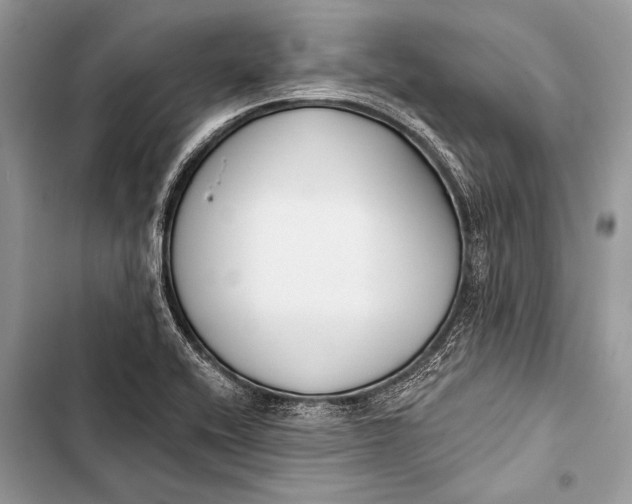 X0000103491416200810031555