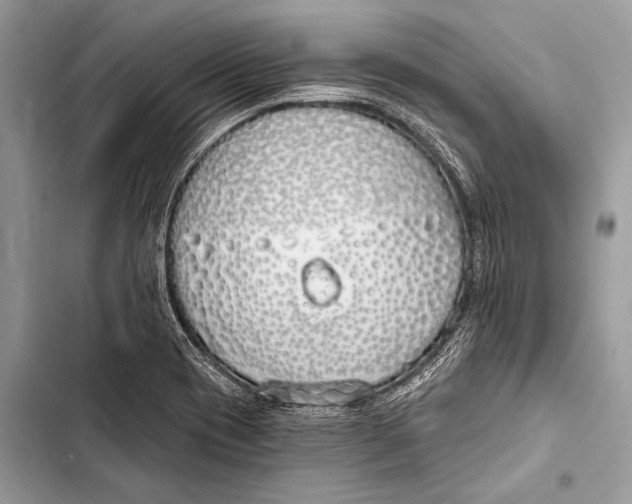 X0000103491417200810031555