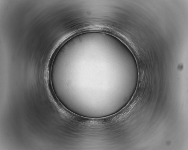 X0000103491418200810031555