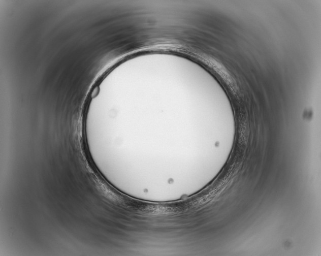 X0000103491420200810031555