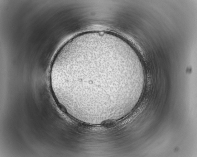 X0000103491421200810031555