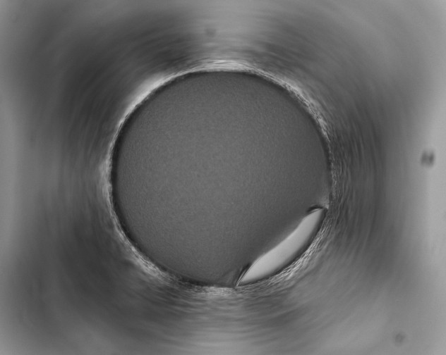 X0000103491422200810031555