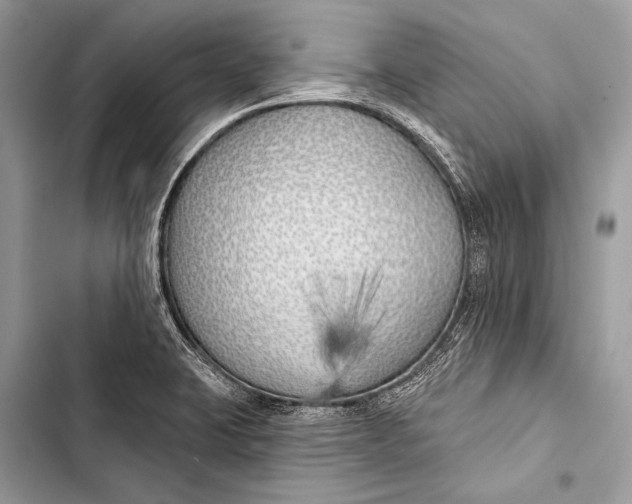 X0000103491423200810031555