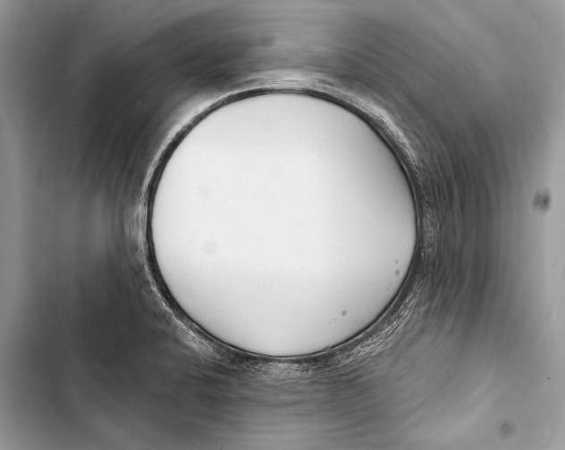 X0000103491424200810031555