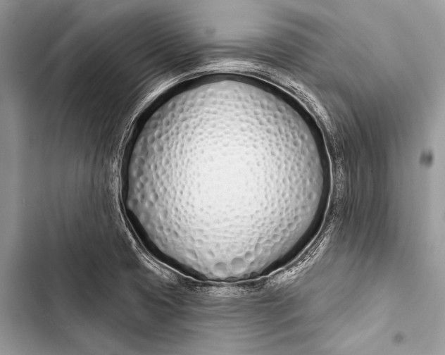 X0000103491425200810031555