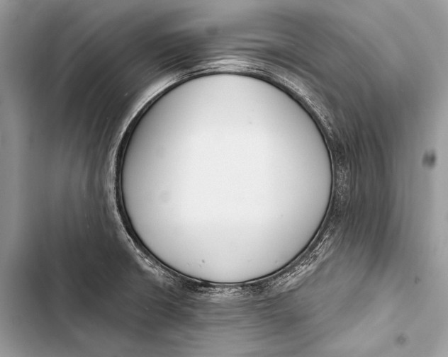 X0000103491426200810031555