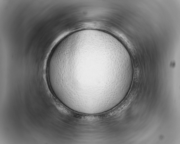 X0000103491427200810031555