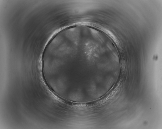 X0000103491428200810031555