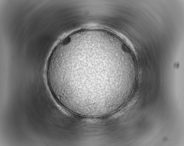 X0000103491429200810031555