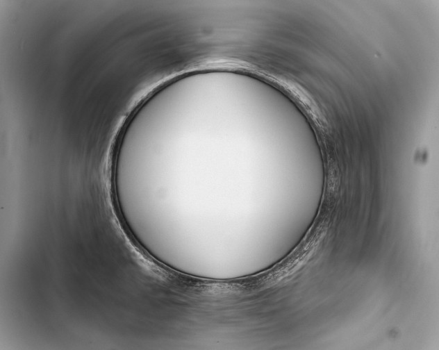 X0000103491430200810031555