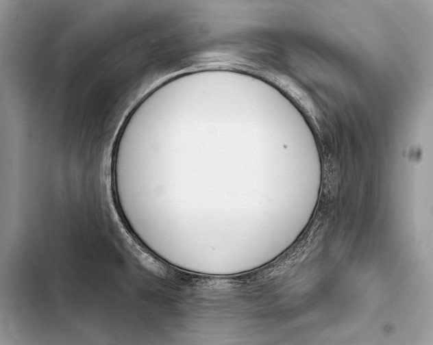 X0000103491431200810031555