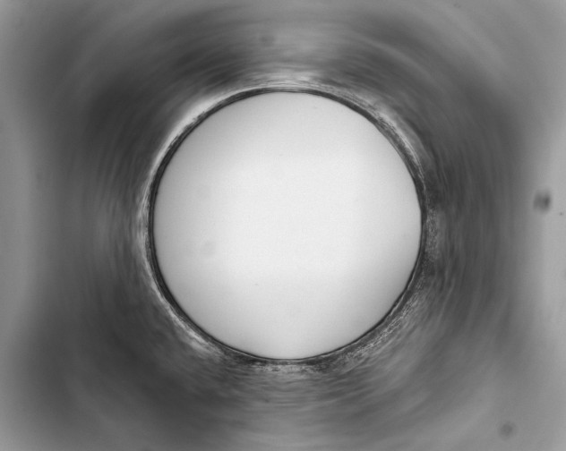 X0000103491432200810031555