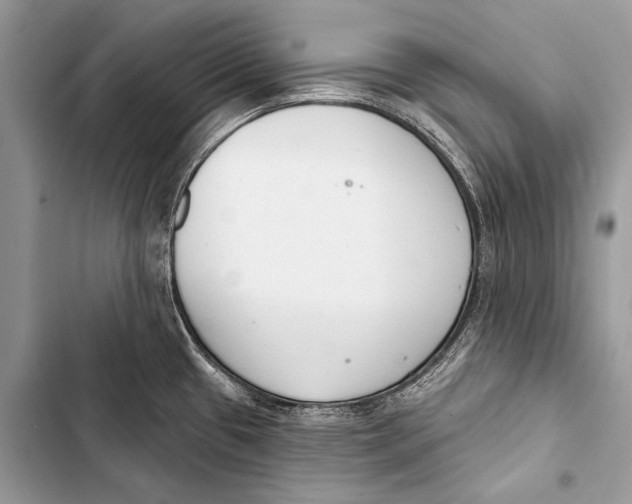 X0000103491433200810031555