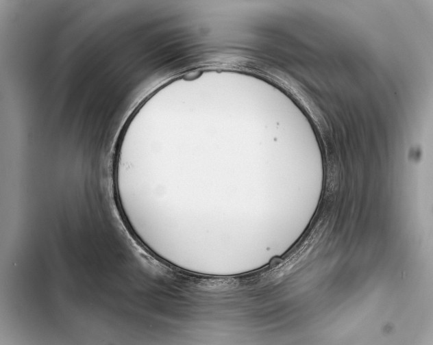 X0000103491434200810031555