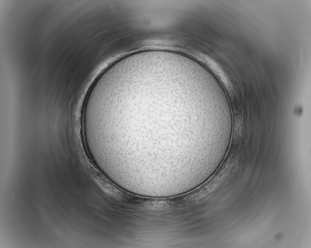 X0000103491435200810031555