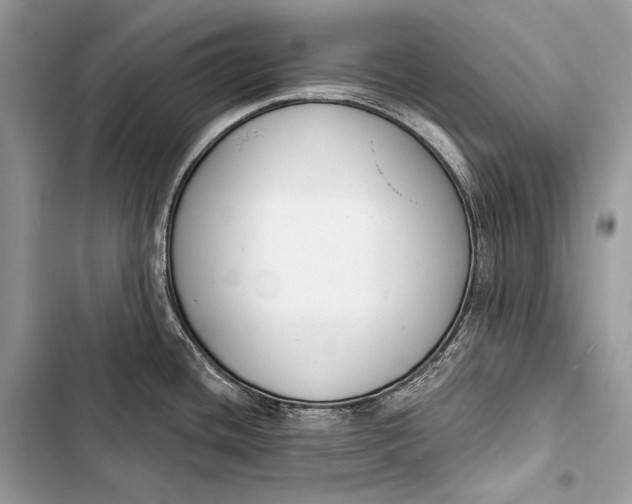 X0000103491436200810031555