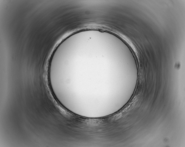 X0000103491437200810031555