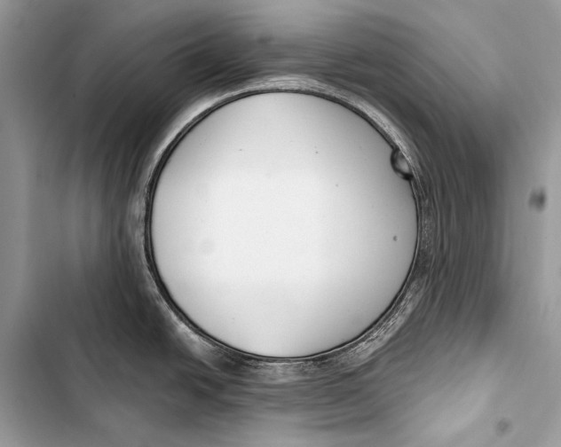 X0000103491438200810031555