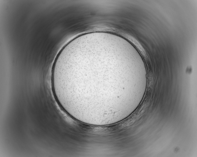 X0000103491439200810031555