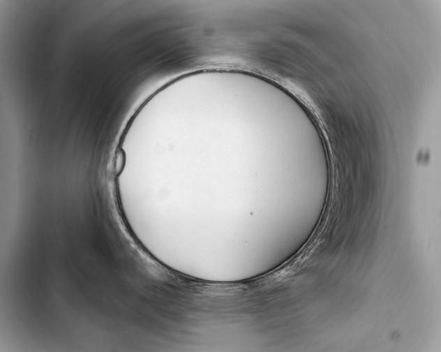 X0000103491440200810031555