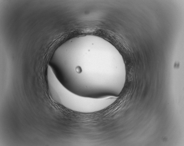 X0000103491441200810031555