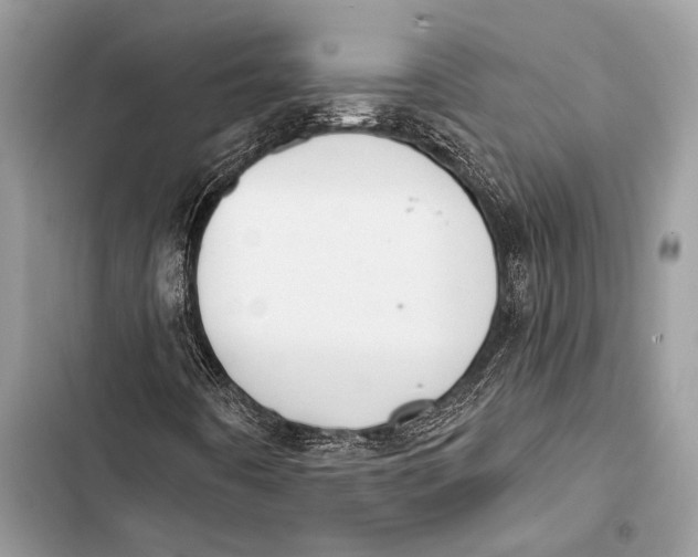 X0000103491442200810031555