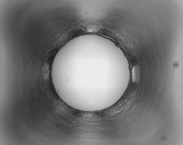 X0000103491443200810031555