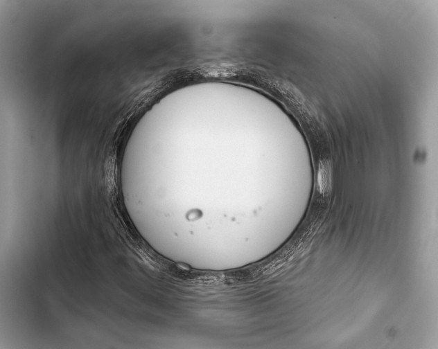 X0000103491444200810031554