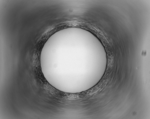 X0000103491446200810031554