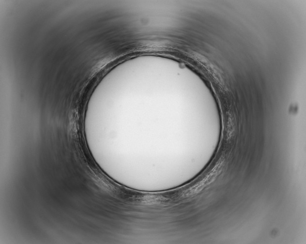 X0000103491449200810031554