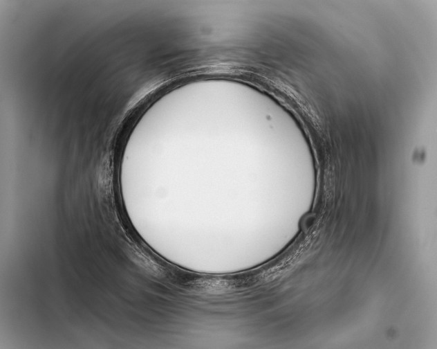 X0000103491450200810031554