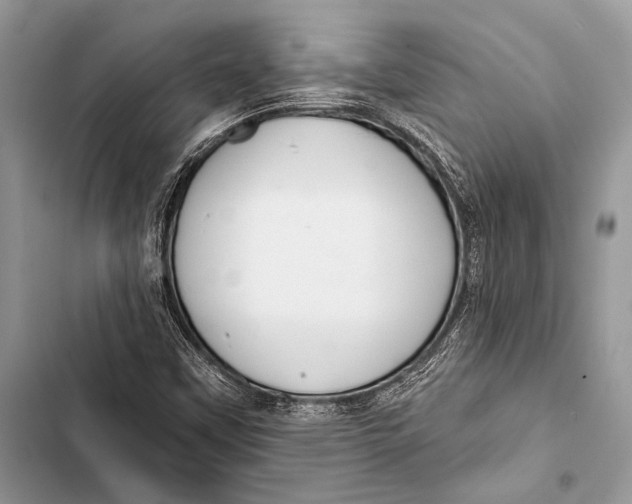 X0000103491451200810031554