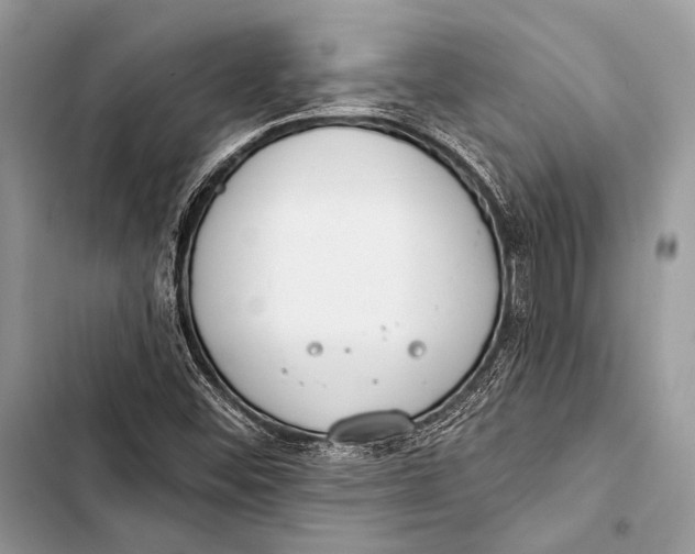 X0000103491452200810031554