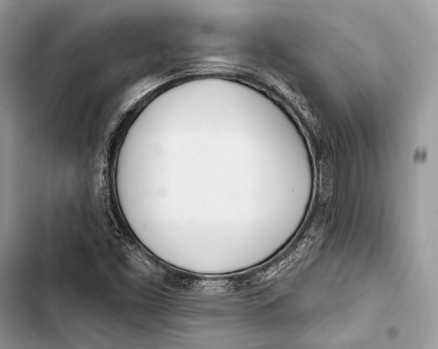 X0000103491453200810031554