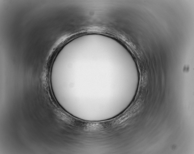 X0000103491454200810031554