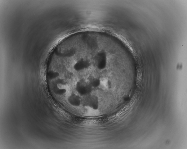 X0000103491455200810031554