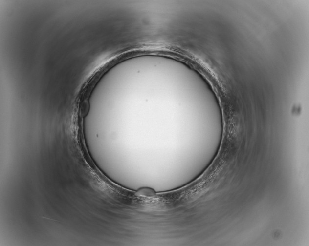 X0000103491456200810031554