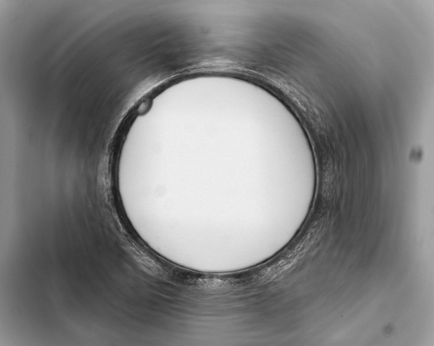 X0000103491458200810031554