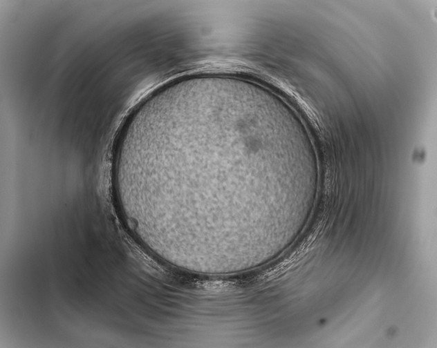 X0000103491459200810031554