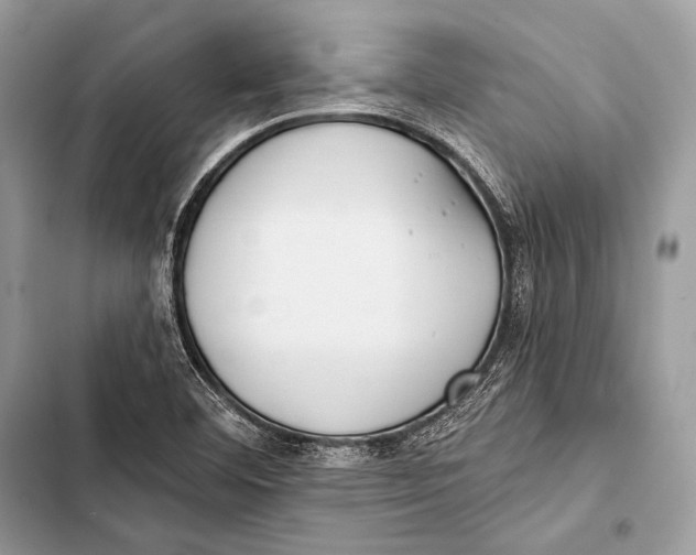 X0000103491460200810031554