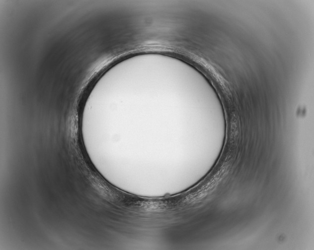 X0000103491461200810031554