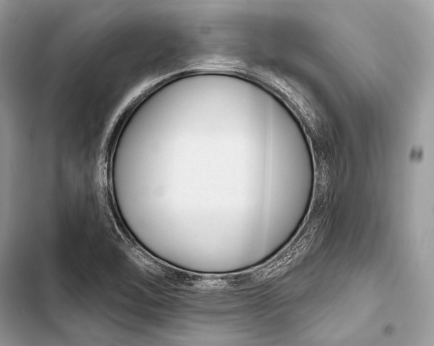 X0000103491462200810031554