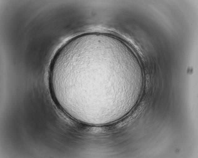 X0000103491463200810031554