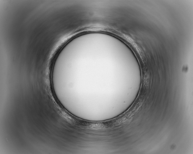 X0000103491464200810031554